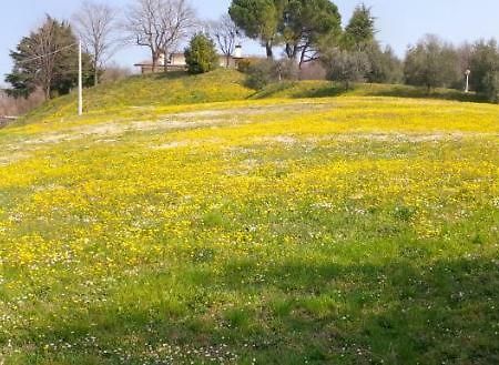 Bed and Breakfast Paglia E Fieno Villaga Exterior foto