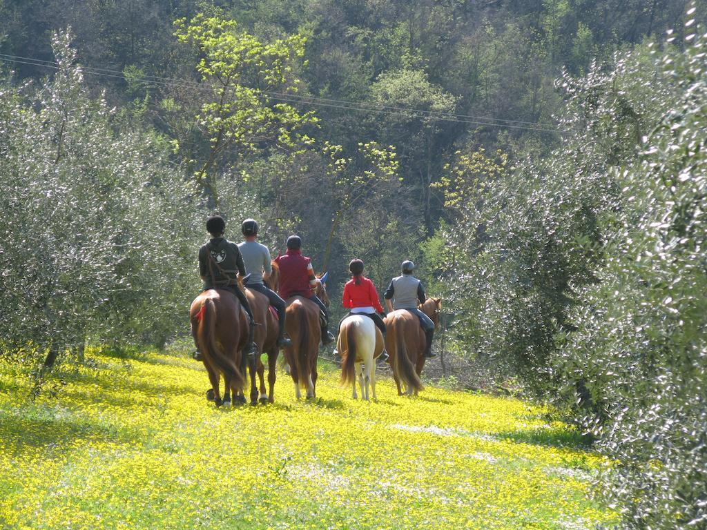 Bed and Breakfast Paglia E Fieno Villaga Exterior foto